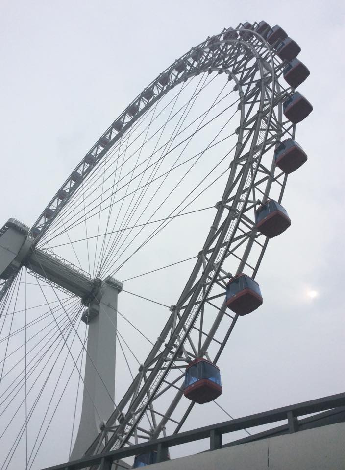 11935066_10153138112137547_2065548019_n