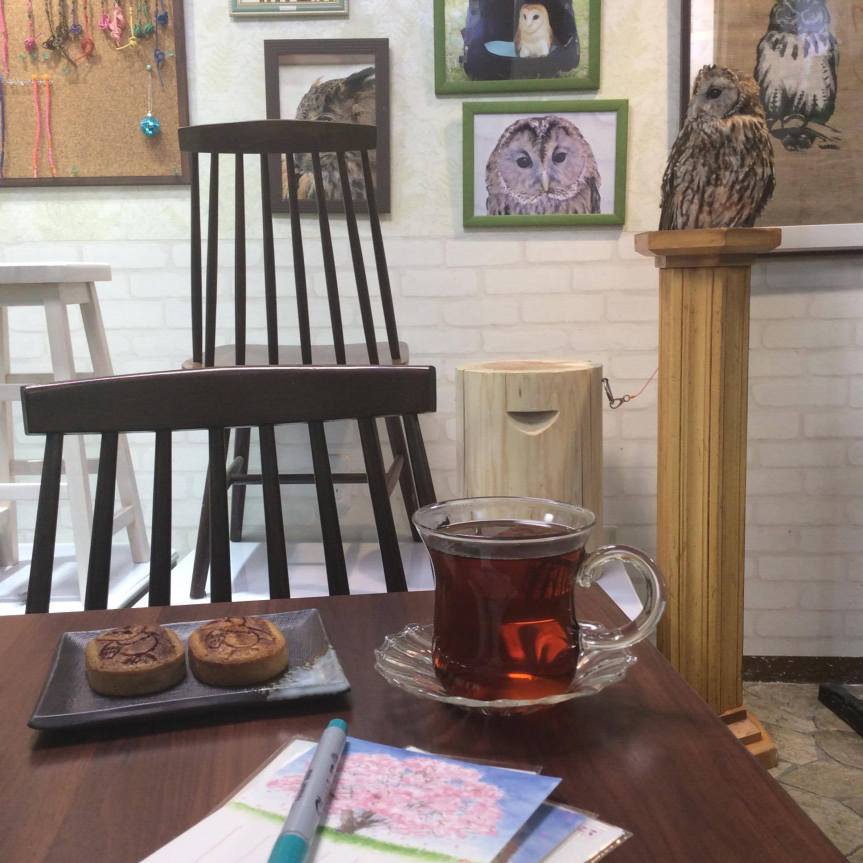 12914909_10153570845172547_635983605_o